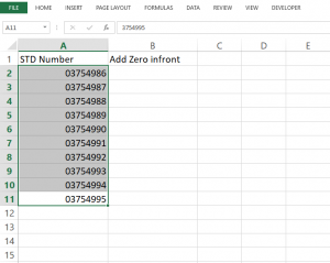 Excel: How to put 0 in front of numbers | Basic Excel Tutorial