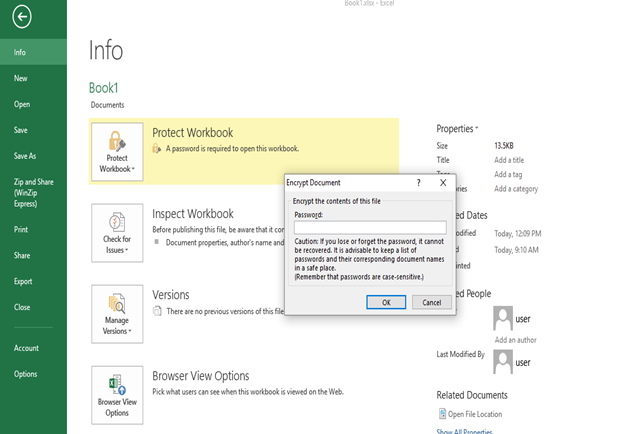 How to Remove Password from Excel File