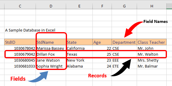 How to use Excel like a Database | Basic Excel Tutorial
